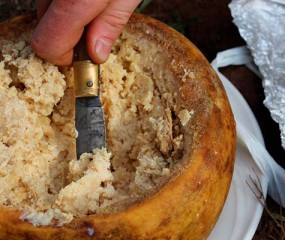 Казу Марцу- Сардинский Сыр с Личинками